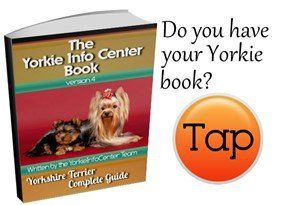 Yorkie bad deals breath remedies